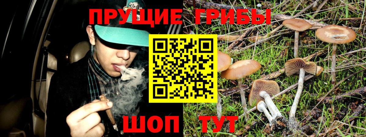 Псилоцибиновые грибы MAGIC MUSHROOMS Учалы