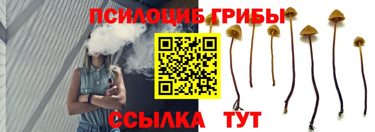 Учалы  Псилоцибиновые грибы ЛСД  где найти   Вход с VPN  Галлюциногенные грибы GOLDEN TEACHER 